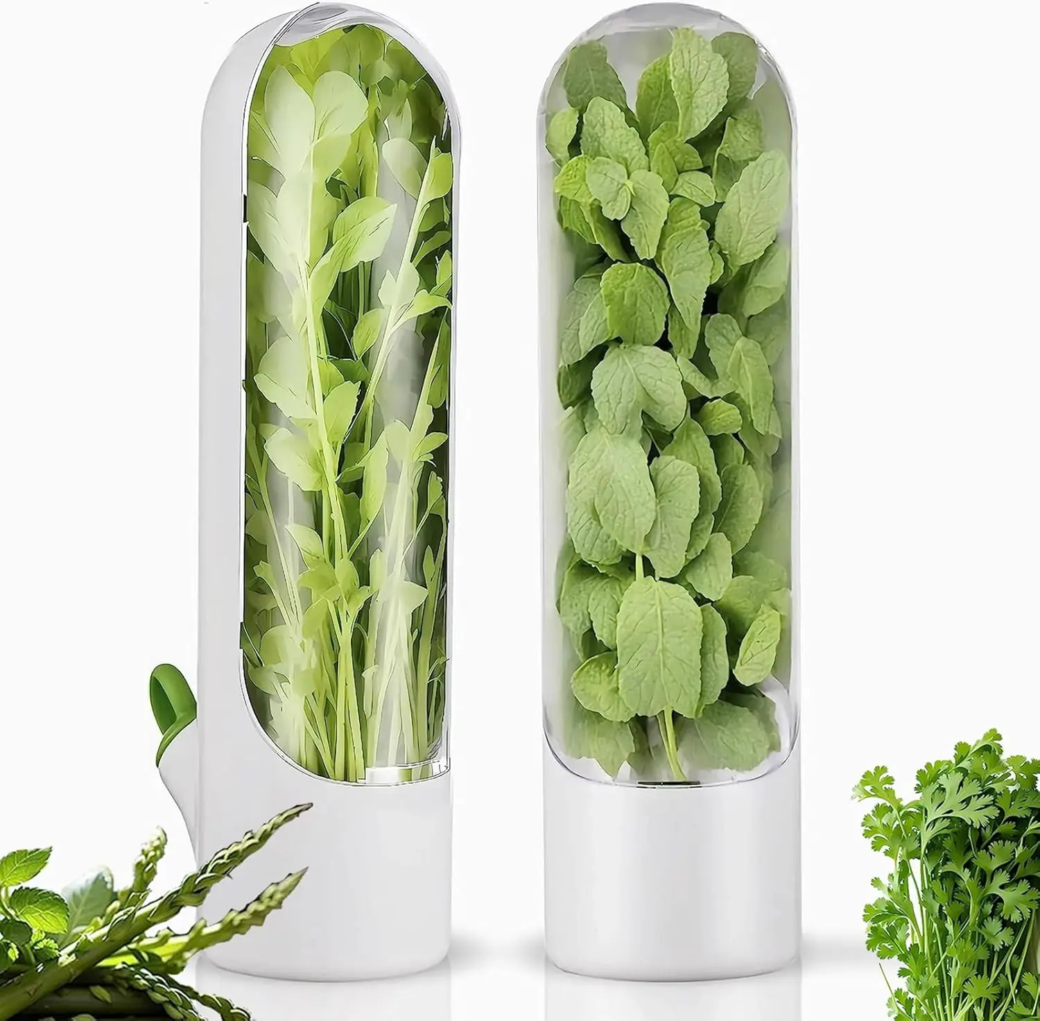 Pojemnik lodówkowy na zioła, świeżość 2–3 tygodnie 🌿